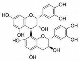 Procyanidin B1 