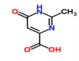 	2-methyl-6-oxo-1,6-dihydropyrimidine-4-carboxylic acid