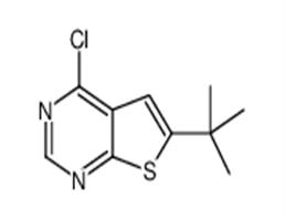 6-Tert-Butyl-4-Chlorothieno[2,3-D]Pyrimidine