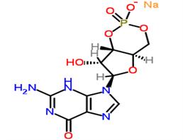 guanosine 3':5'-cyclic monophosphate sodium salt