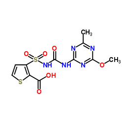 thifensulfuron