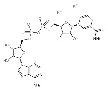 |A-Nicotinamide adenine dinucleotide,reduced dipotassium salt