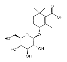 Rehmapicroside