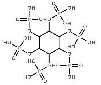 	Phytase