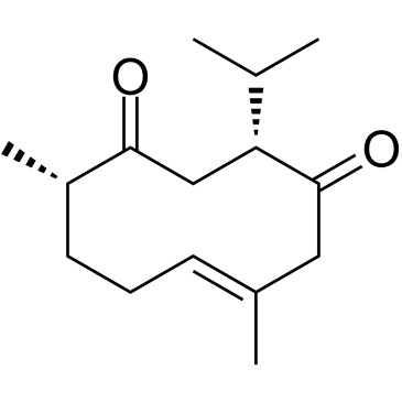 Neocurdione