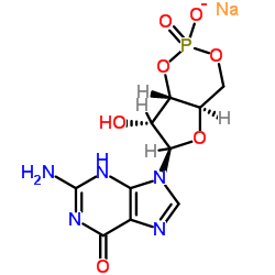 guanosine 3':5'-cyclic monophosphate sodium salt