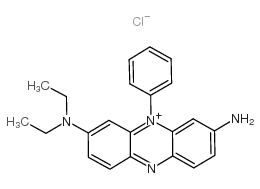 ci 50206