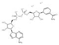|A-Nicotinamide adenine dinucleotide,reduced dipotassium salt pictures