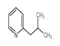 2-Isobutylpyridine pictures
