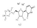 Uridine 5'-diphosphate