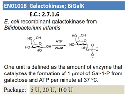 Galactokinase; BiGalK