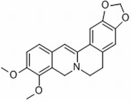 Dihydroberberine