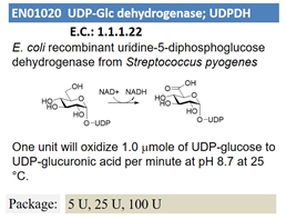 UDP-Glc dehydrogenase; UDPDH 