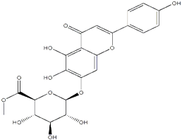 Scutellarin methylester