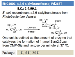 a2,6-sialyltransferase; Pd26ST