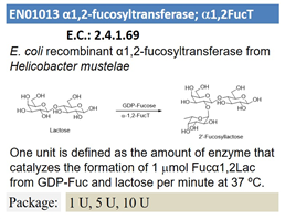 α1,2-fucosyltransferase; a1,2FucT