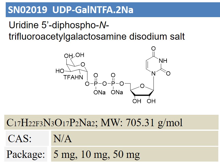 UDP-GalNTFA.2Na