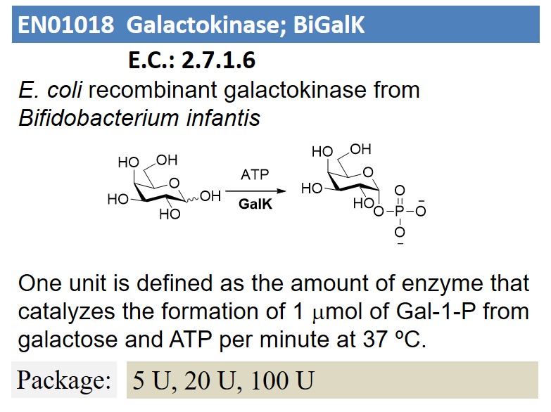 Galactokinase; BiGalK