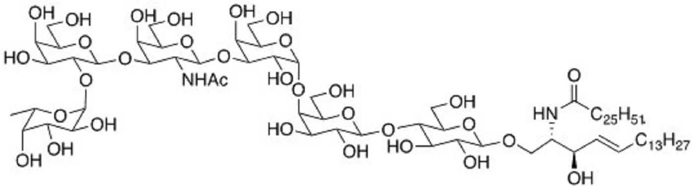 Fuca1,2Galb1,3GalNAcb1,3Gala1,4Galb1,4Glc Ceramide                Synonym:?FucGb5Cer