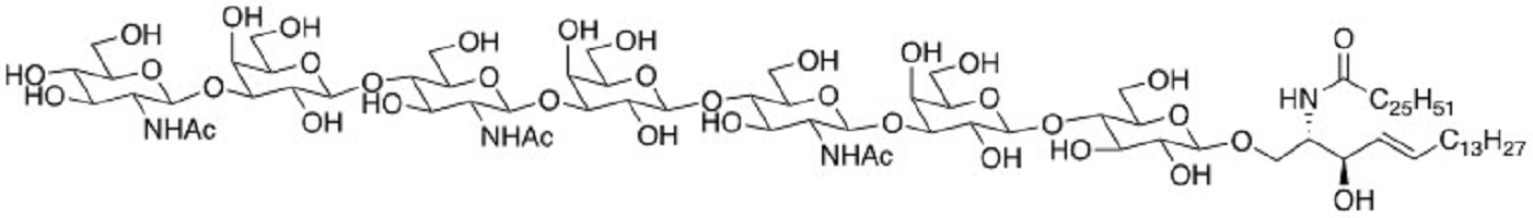 GlcNAcb1,3Galb1,4GlcNAcb1,4Galb1,4GlcNAcb1,3Galb1,4Glc Ceramide                 Synonym