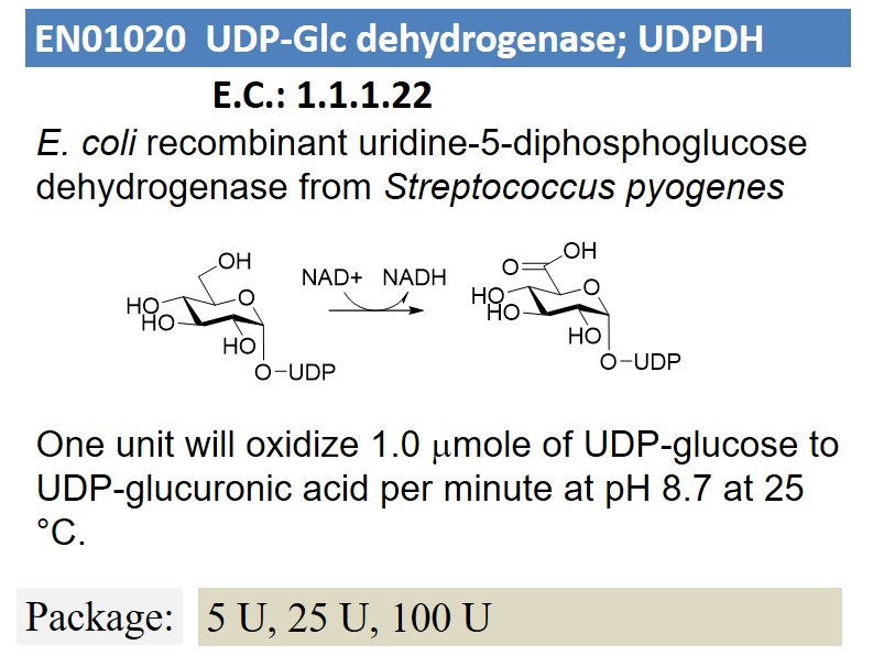 UDP-Glc dehydrogenase; UDPDH 