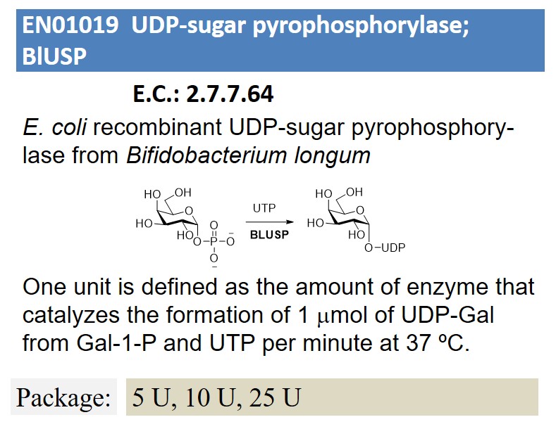  UDP-sugar pyrophosphorylase; BlUSP