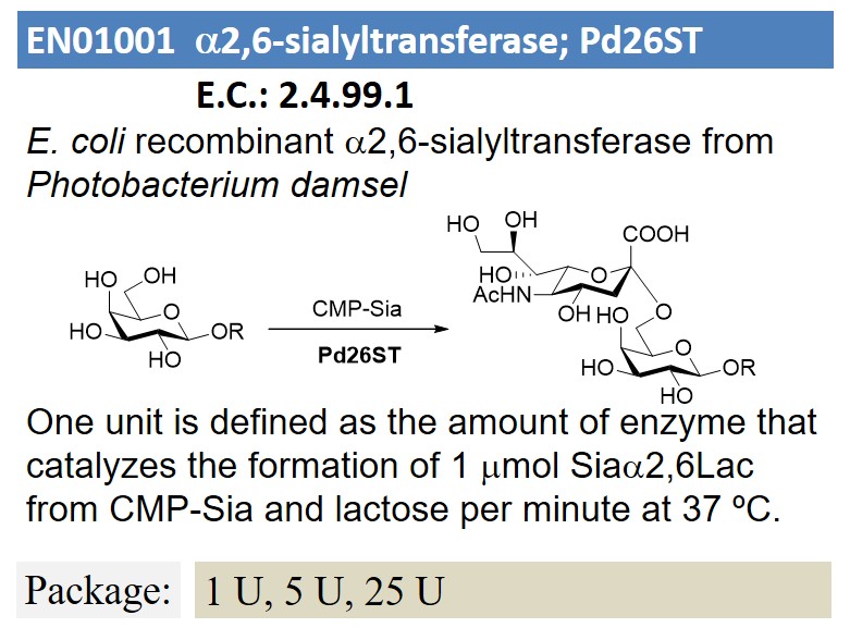 a2,6-sialyltransferase; Pd26ST