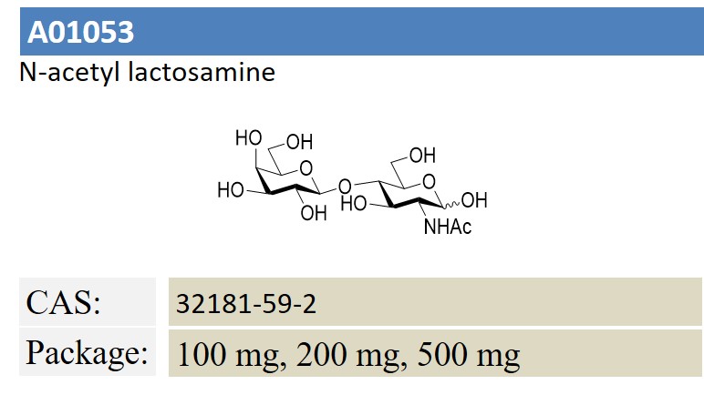 N-acetyl lactosamine 