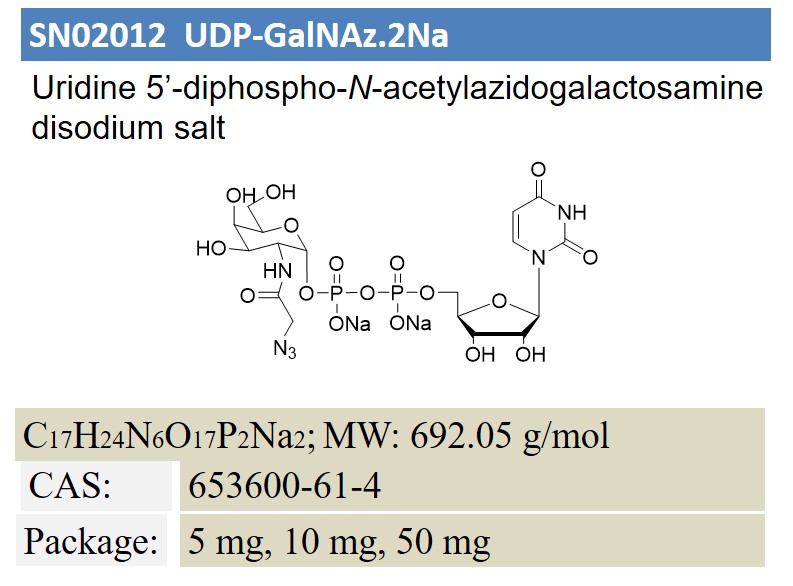 UDP-GalNAz.2Na