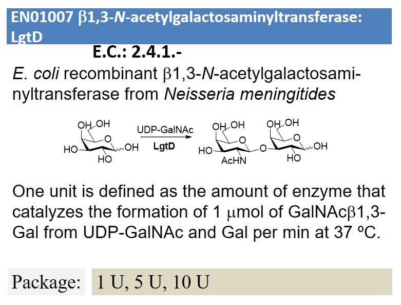 b1,3-N-acetylgalactosaminyltransferase: LgtD