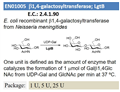 b1,4-galactosyltransferase; LgtB