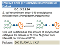 Endo-β-N-acetylglucosaminidase A; Endo-A