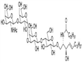 GalNAcb1,3Gala1,3Galb1,4Glc Ceramide                Synonym:?iGb4Cer pictures