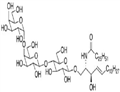 Gala1,4Galb1,4Glc Ceramide                Synonym:?Gb3Cer pictures