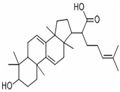 Dehydrotrametenolic acid pictures