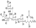 Neu5Aca2,3(GalNAcb1,4)Galb1,4Glc Ceramide                Synonym:?GM2  pictures