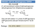 UDP-Glc dehydrogenase; UDPDH 