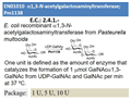 a1,3-N-acetylgalactosaminyltransferase; Pm1138