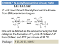 N-acetylhexosamine kinase; NahK