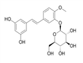 Rhapontigenin 3'-O-glucoside pictures