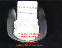 Meclofenoxate Hydrochloride