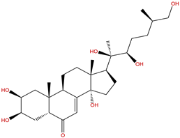 25S-Inokosterone