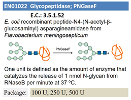 Glycopeptidase; PNGaseF