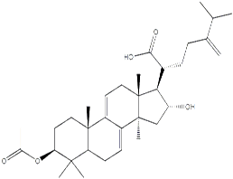 Dehydropachymic acid