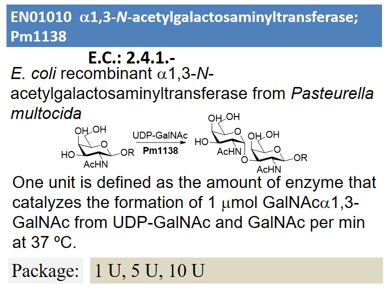 a1,3-N-acetylgalactosaminyltransferase; Pm1138