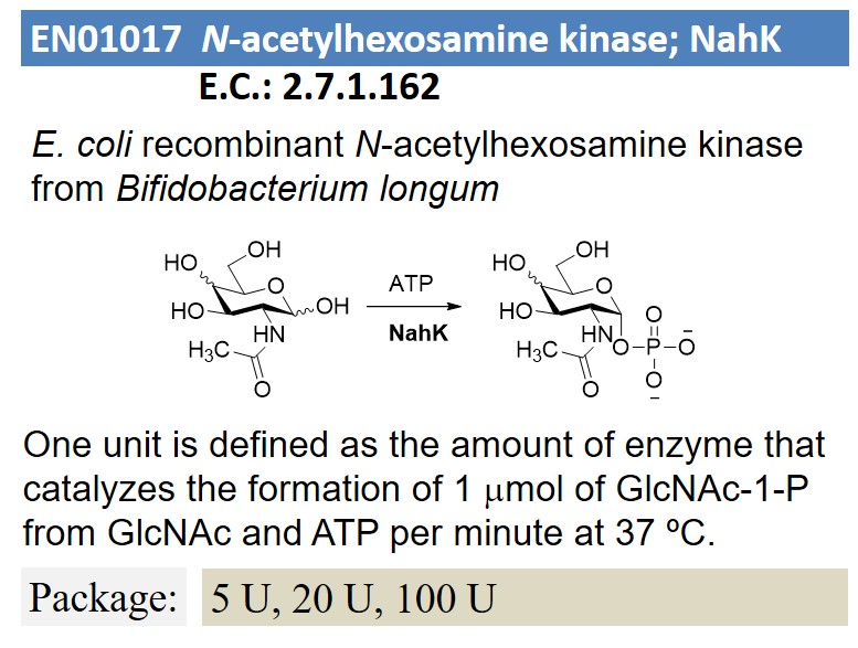 N-acetylhexosamine kinase; NahK