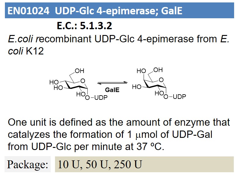UDP-Glc 4-epimerase; GalE