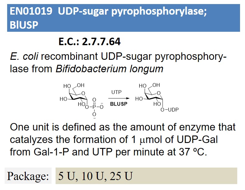 UDP-sugar pyrophosphorylase; BlUSP
