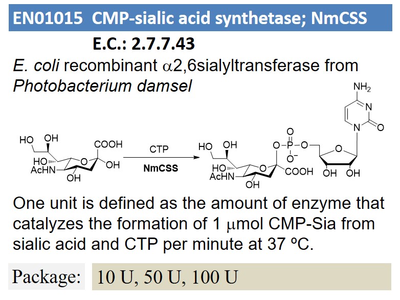 CMP-sialic acid synthetase; NmCSS
