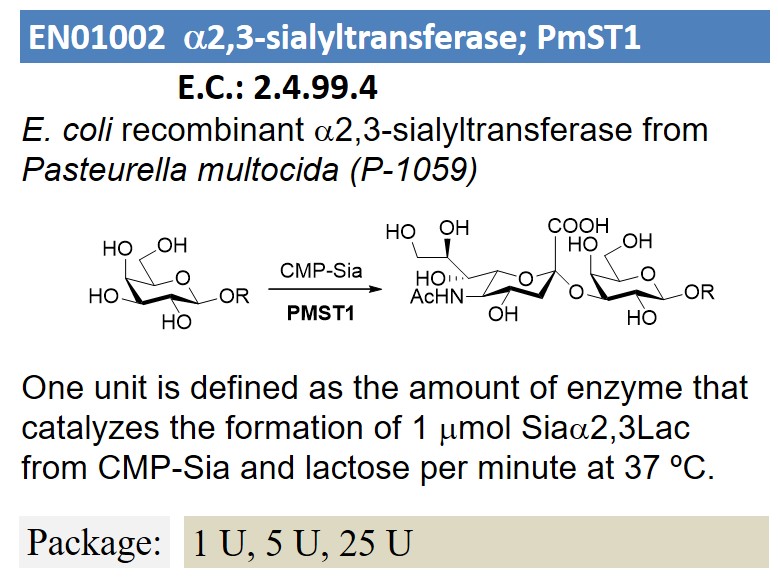 a2,3-sialyltransferase; PmST1